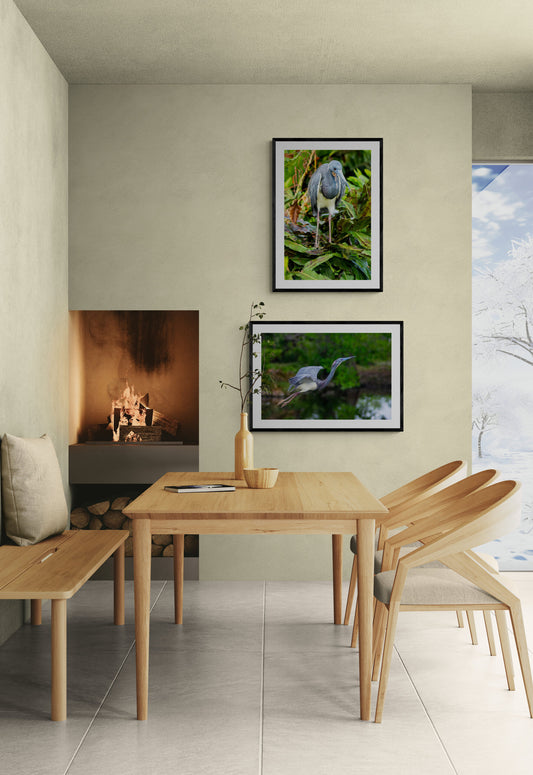 Heron-in-Tree Original Photograph by Kim A. Bailey Hanging in a Dining Room