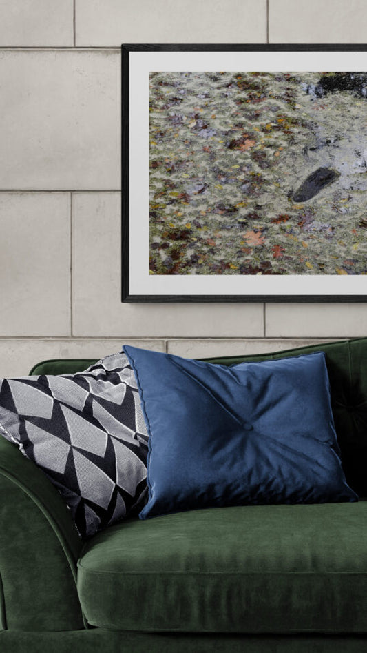 Hiding_Alligator Original Photograph by Kim A. Bailey over a green couch