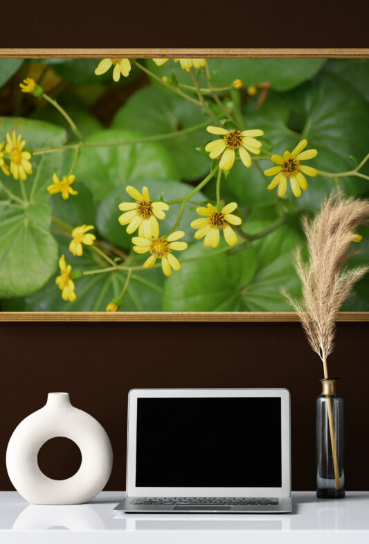 Leopard Plant, Original Photograph by Kim A. Bailey Hanging over a Home Office Desk