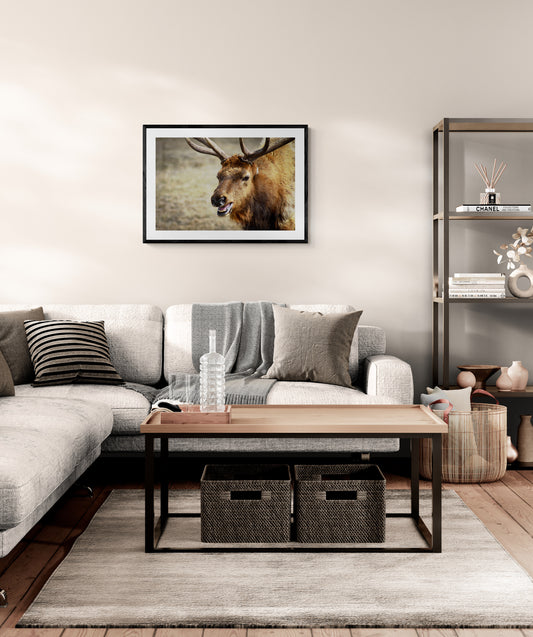 Modern living room with a sectional sofa, coffee table, and wall art of an Elk.