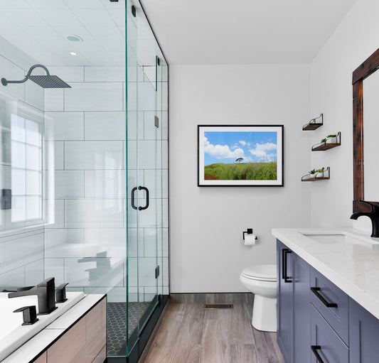 Modern bathroom with glass shower enclosure and framed picture on wall. Monkey Pod Tree in a Green Field, Kauai, Hawaii, Original Photograph by Kim A. Bailey