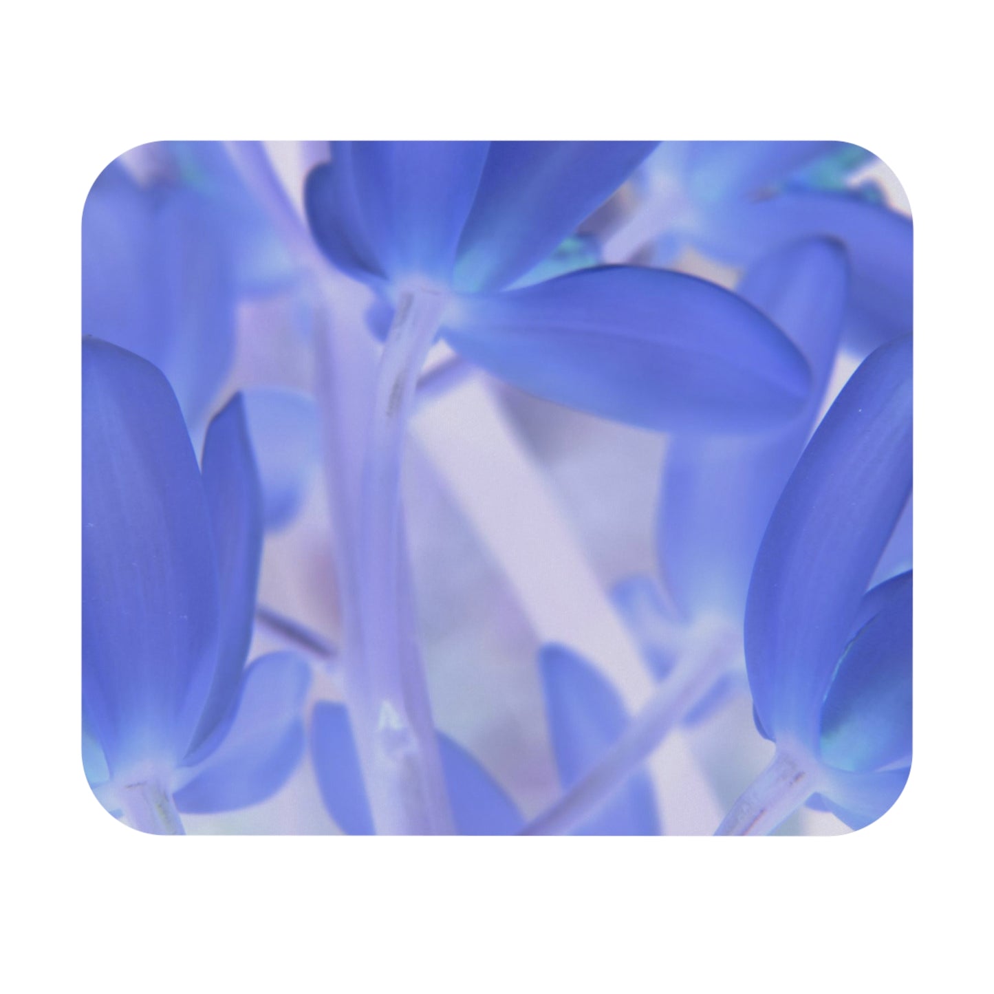 A close-up image of a mouse pad with a vibrant design of blue tinted orchids.