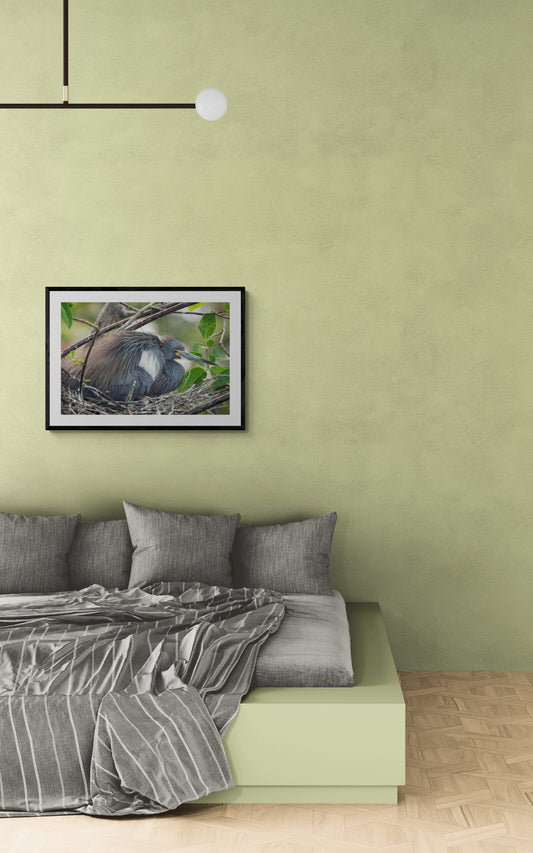 Nesting-Heron Original Photograph by Kim A. Bailey in a bedroom