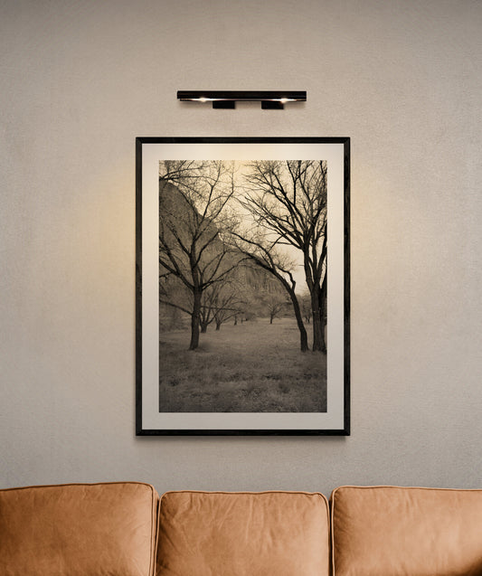 Silent Orchard – Capitol Reef in Winter image Orchard-Tree-at-Captial-Reef Original Black and White Photograph by Kim A. Bailey