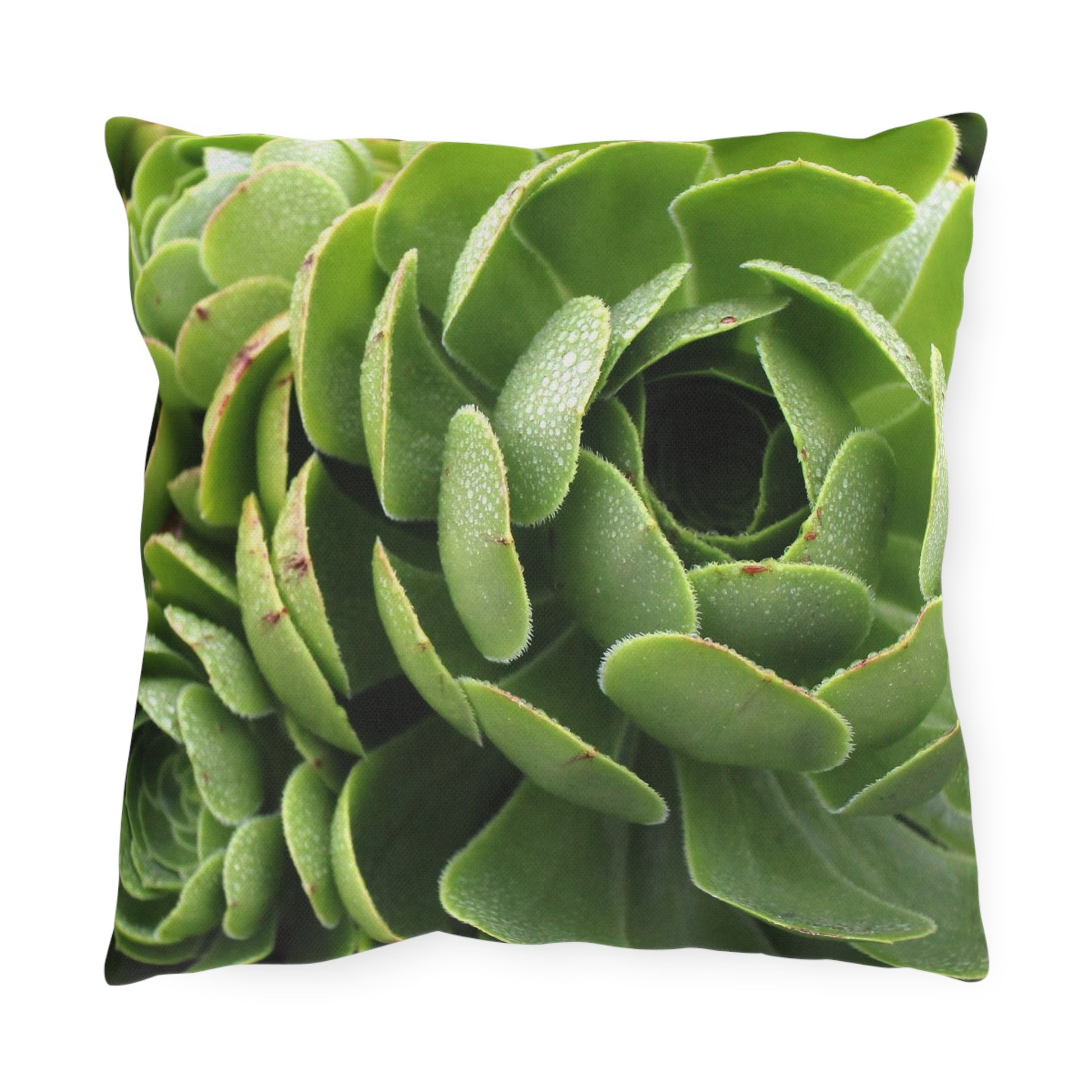 Outdoor pillow featuring a close-up photograph of green succulents, with a double-sided print.