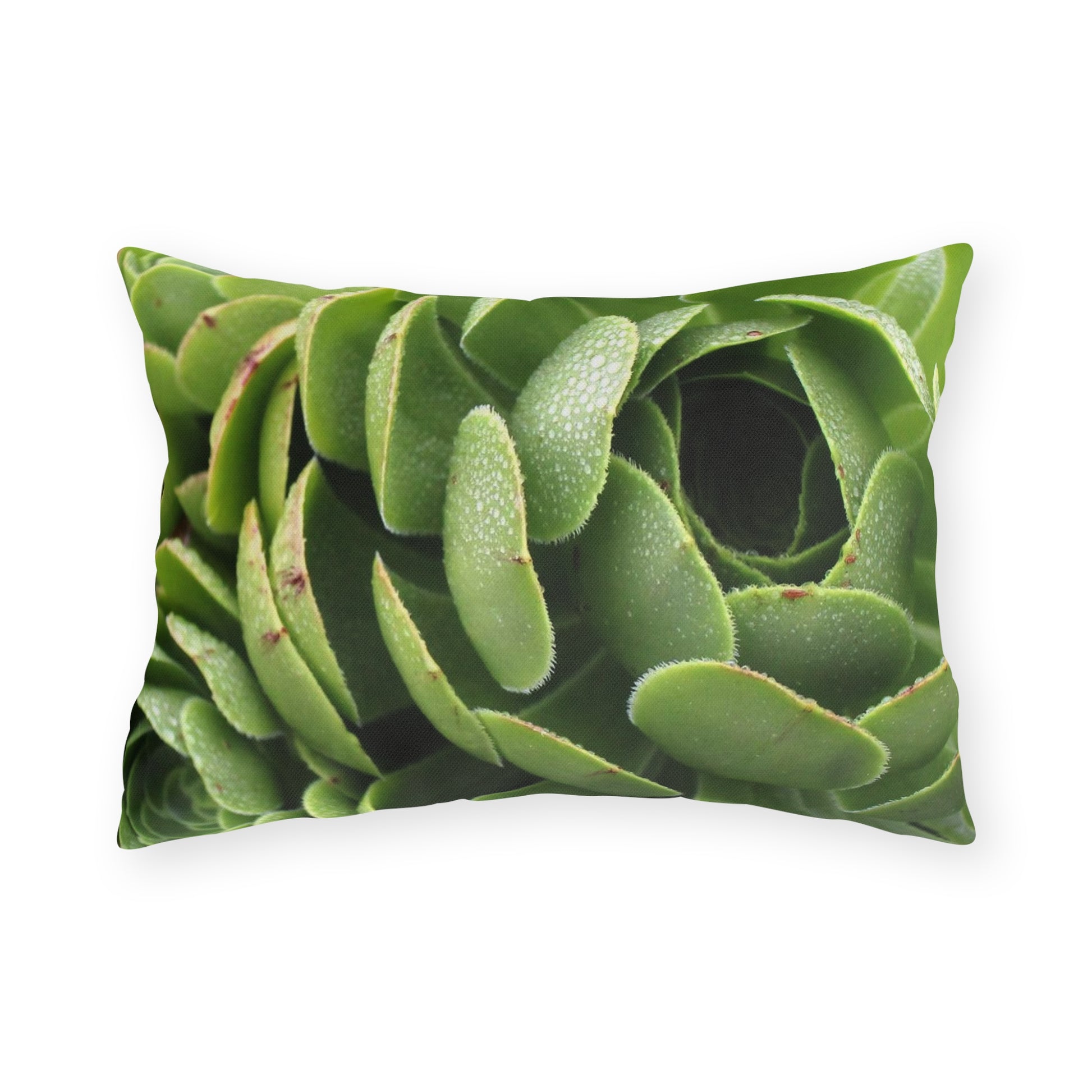Outdoor pillow featuring a close-up photograph of green succulents, with a double-sided print.