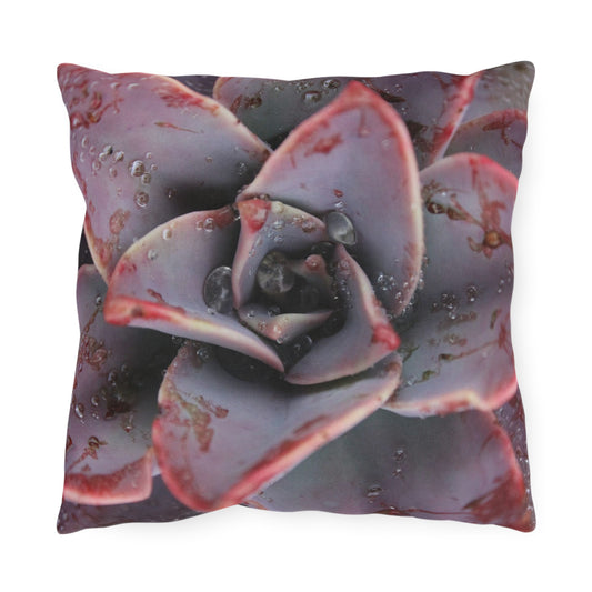 Decorative pillow with a succulent plant design on a white background