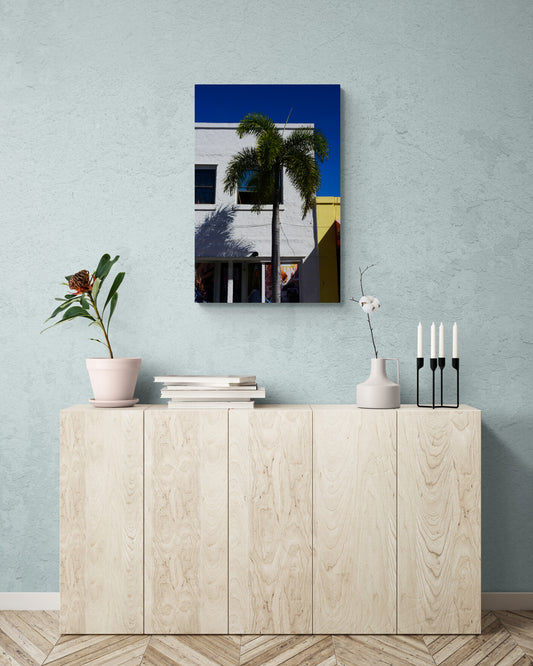 Palm_Tree_in_Town Original Photograph by Kim A. Bailey