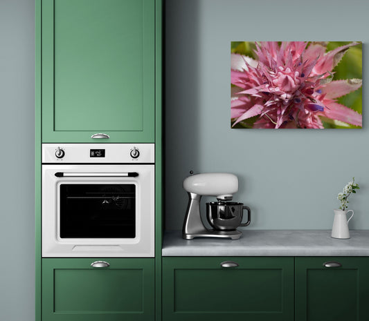 Nature-Inspired Photography Prints to Elevate Your Space "Pink Bromeliad Crown"