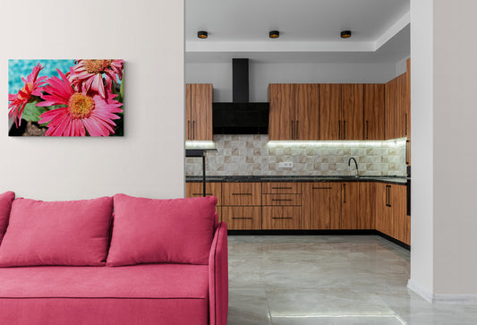 Pink Daisies, Original Photograph by Kim A. Bailey