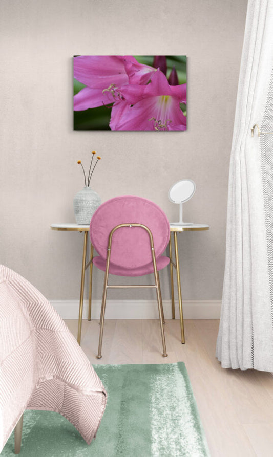 Pink Lilies, Original Photograph by Kim A. Bailey