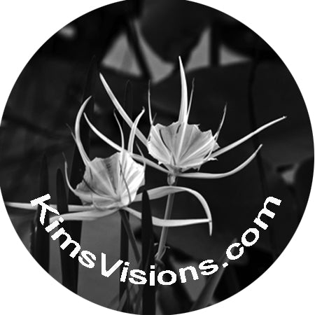 Black and white image of a plant with 'KimsVisions.com' text overlay.