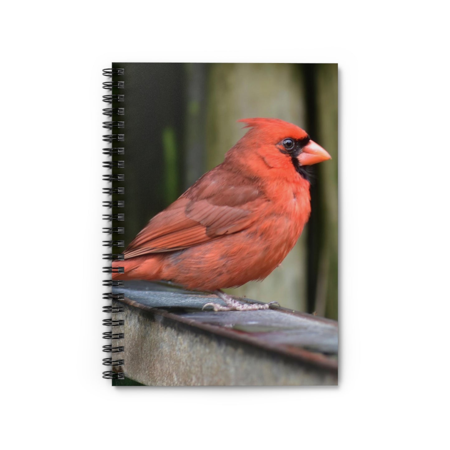 A spiral notebook with a photograph of a red cardinal bird on the cover.