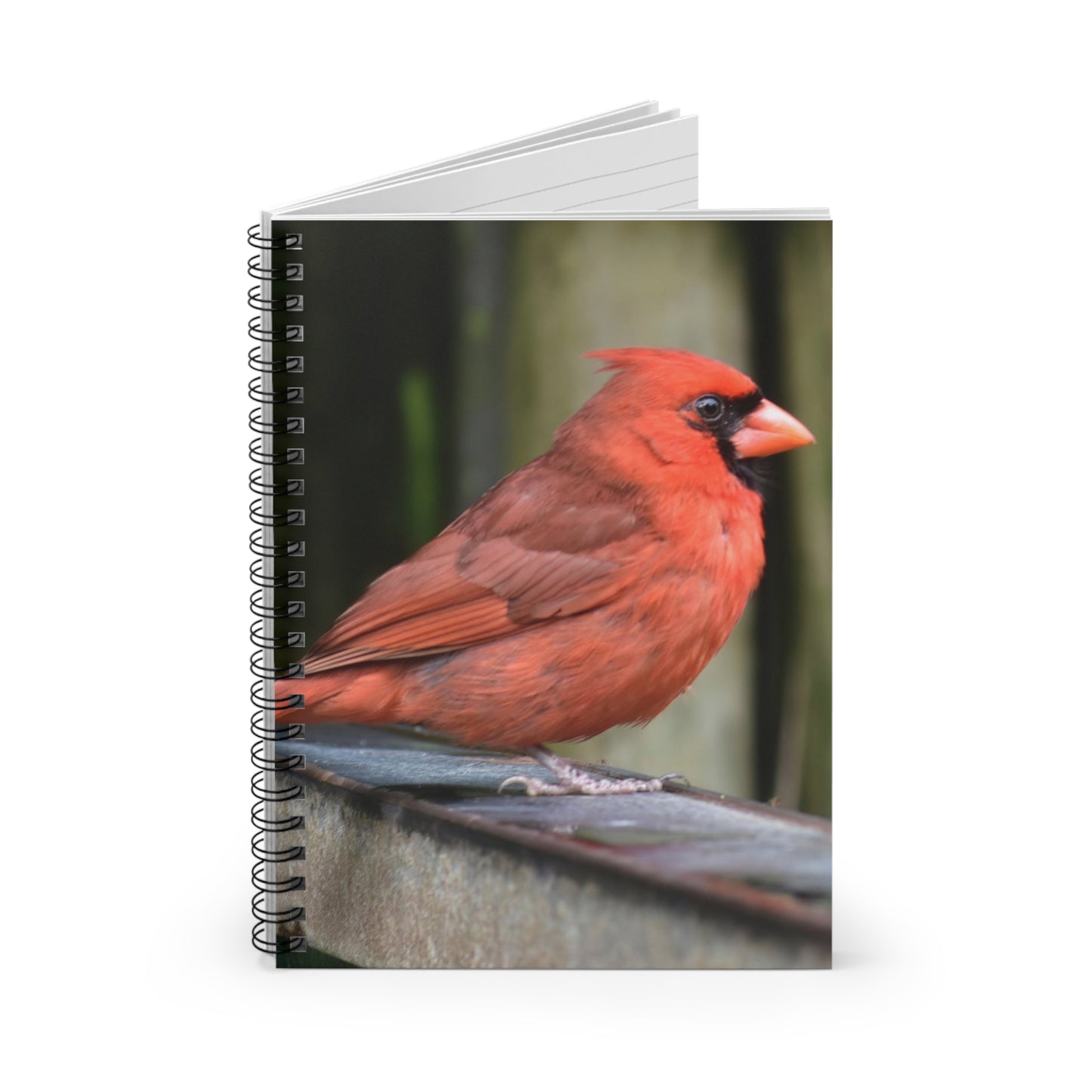 Red Cardinal Spiral Notebook - Ruled Line Photo By Kim A. Bailey