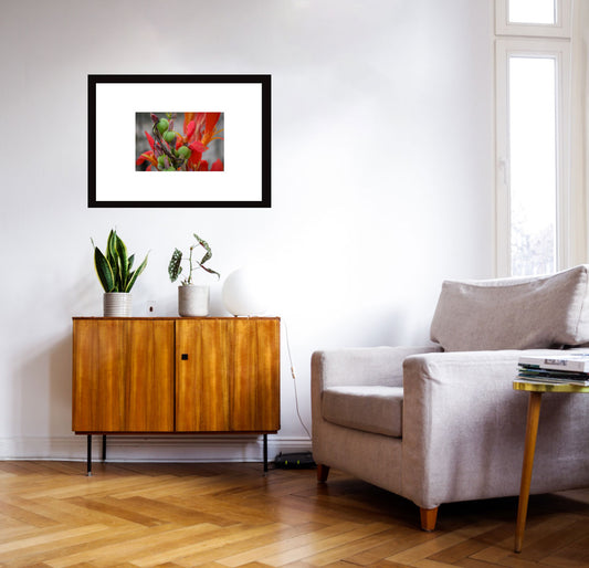 Red Water Lily Original Photograph by Kim A. Bailey In a minimalist room