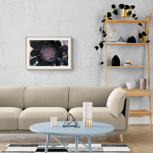 Dark Green and Purple Succulent image Red and Green Succulent, Original Photograph by Kim A. Bailey