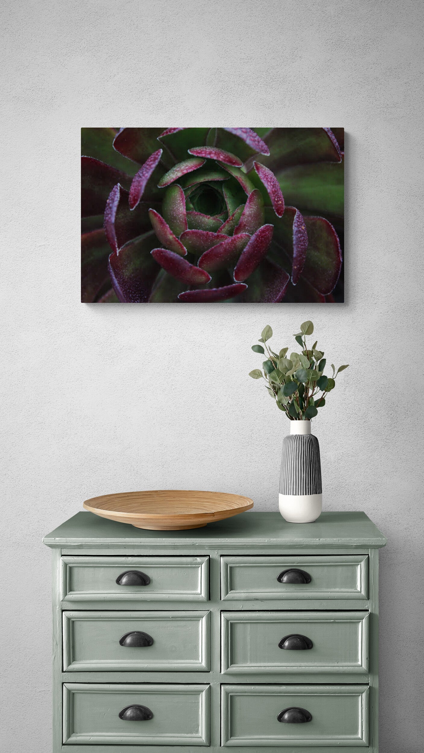 Red and Green Succulent, Original Photograph by Kim A. Bailey
