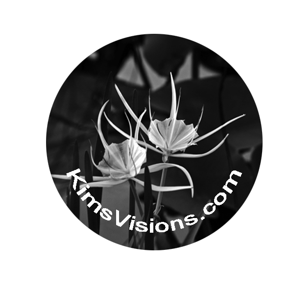 Logo for KimsVisions.com