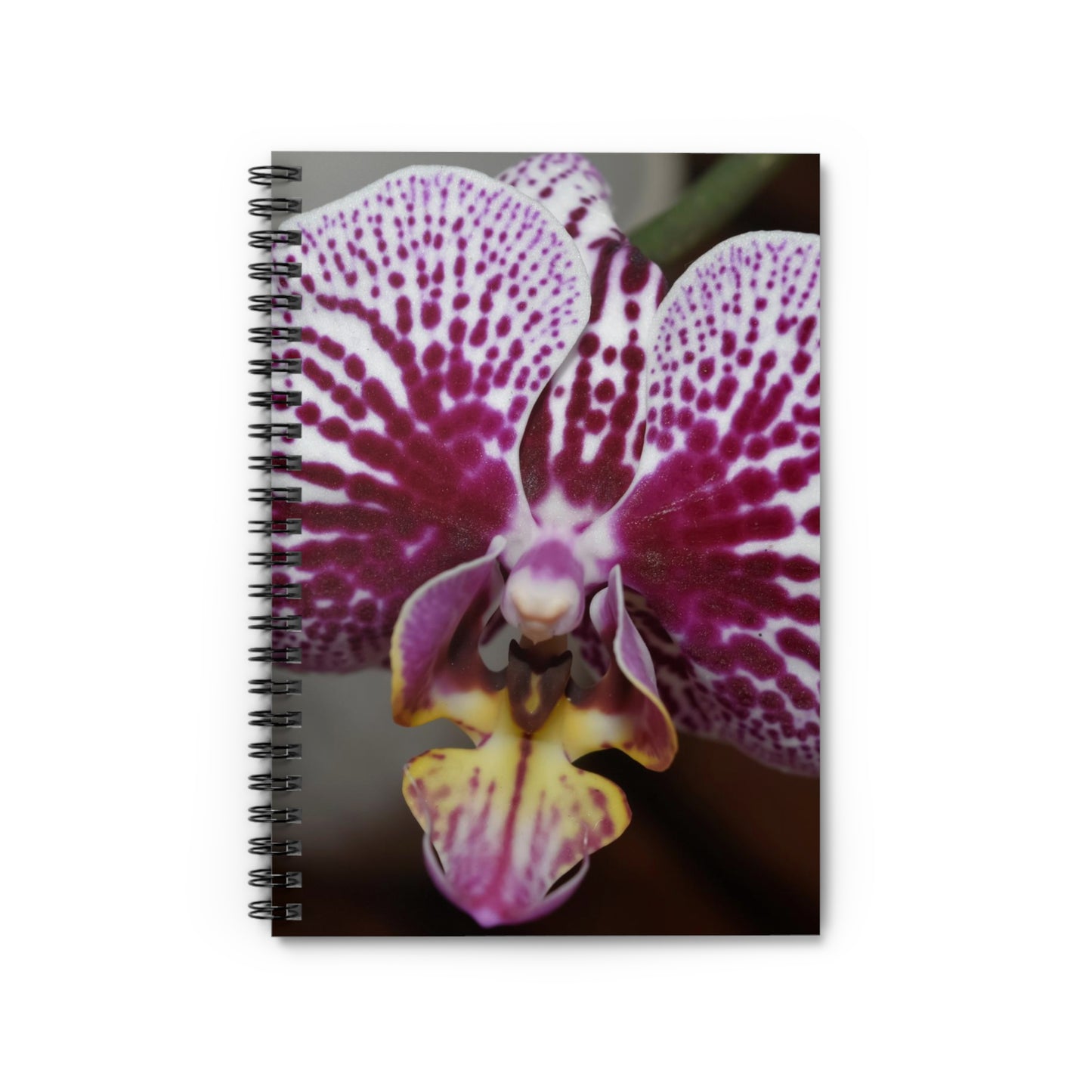 A spiral notebook with a ruled line design featuring a close-up photograph of an orchid flower on the cover.