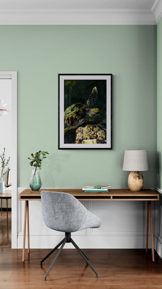 Modern home office with green wall, desk, chair, and artwork. Sea Turtle in Water, Original Photograph by Kim A. Bailey