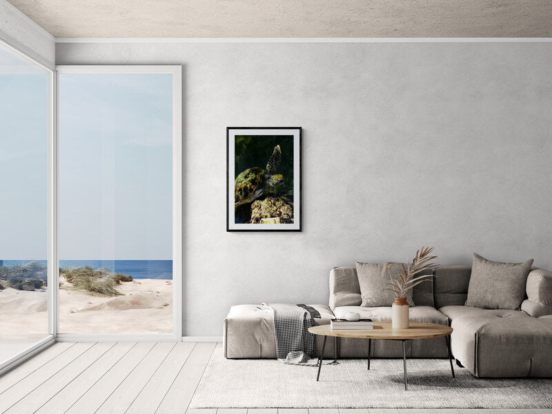Living room with a sofa, coffee table, and a framed picture of a beach scene. Sea Turtle in Water, Original Photograph by Kim A. Bailey