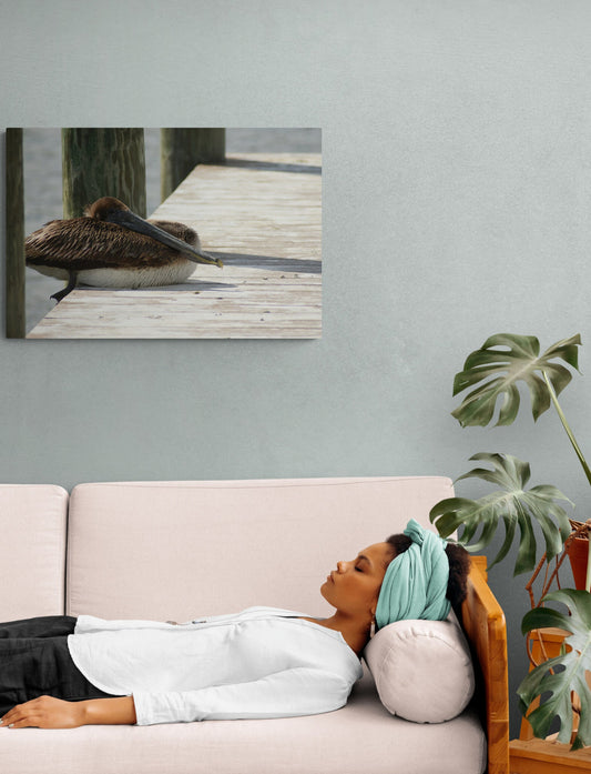 Sitting Pelican, Original Photograph by Kim A. Bailey