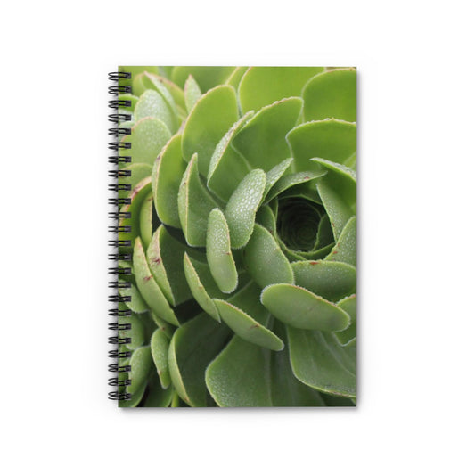 A spiral notebook with a photograph of a green succulent plant on the cover, titled 'Green Succulent' by Kim A. Bailey.