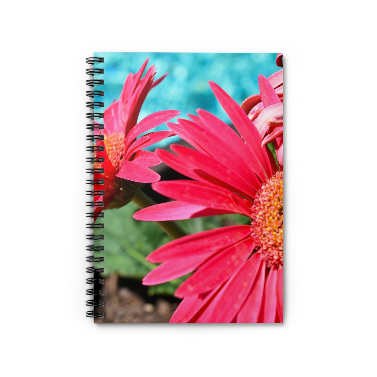 A spiral notebook with a photograph of pink daisies on the cover, with a dark grey back cover and ruled line pages.