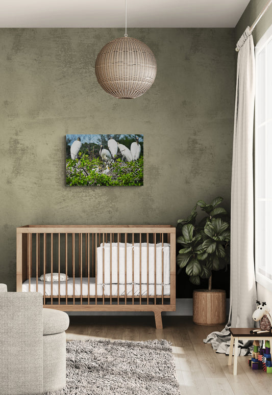 Storks-with-their-babies-scaled_Original_Photograph_by_Kim_A._Bailey in a Nursery