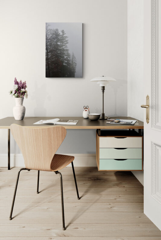 Trees-in-the-Mist, Austria Original Photograph by Kim A. Bailey