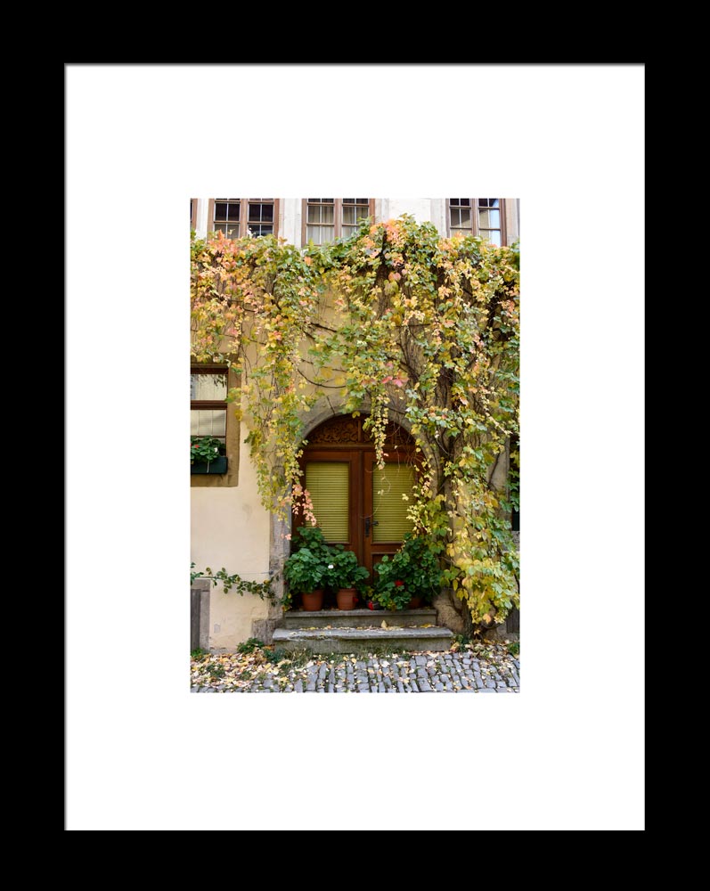 Vines-over-Door-Framed by Kim A. Bailey