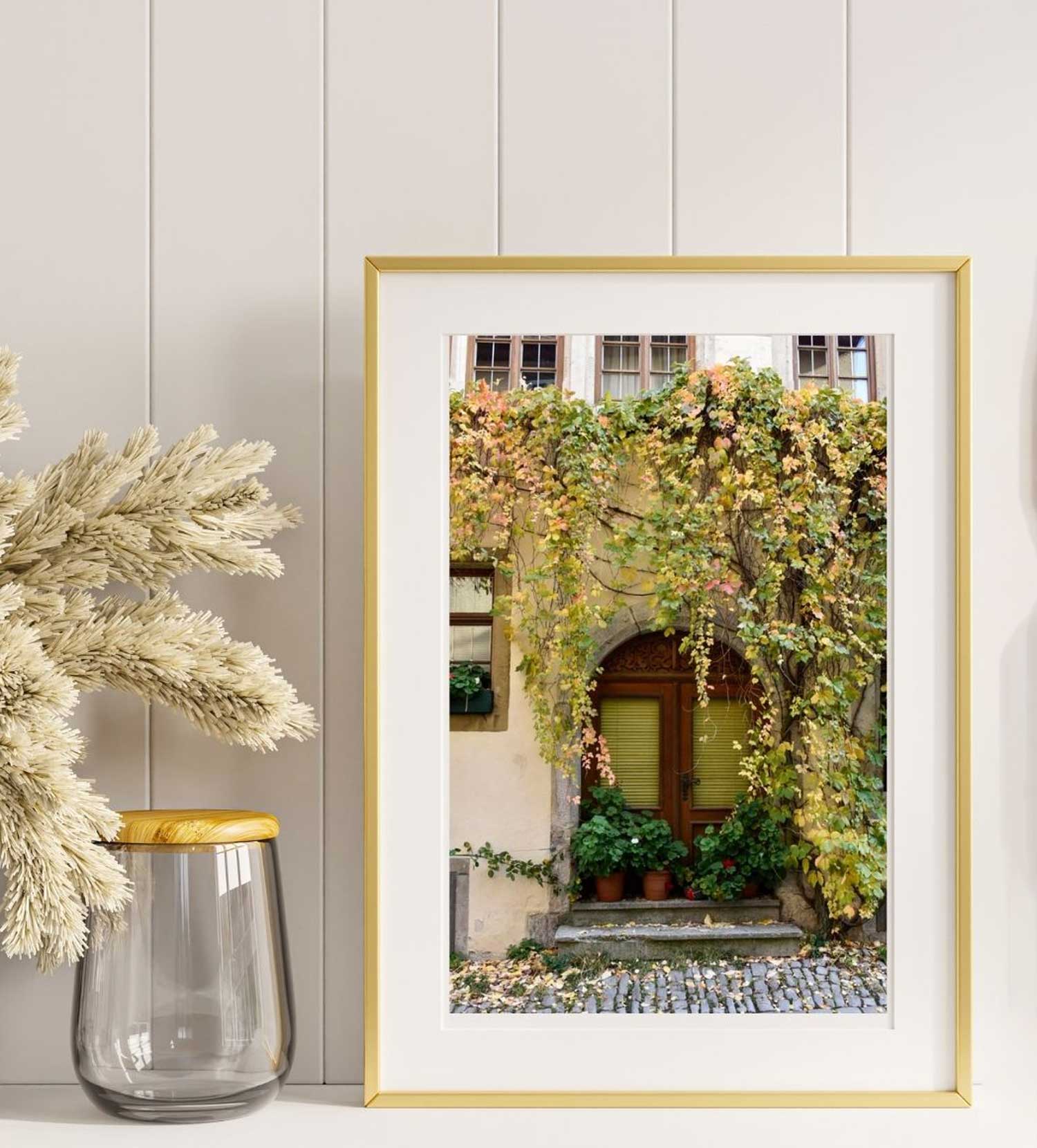 Vines Over Door Original Photograph by Kim A. Bailey on a shelf