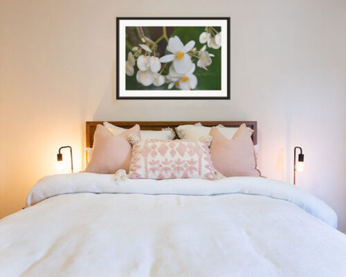 White Begonia, Original Photograph by Kim A. Bailey