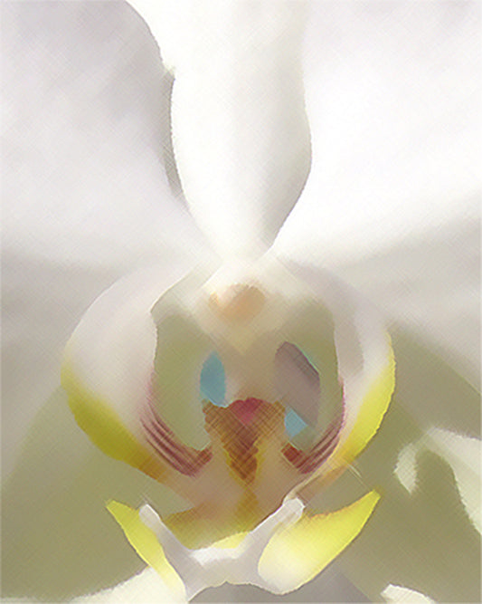 Close-up color photograph of a white dendrobium orchid with artistic texture.