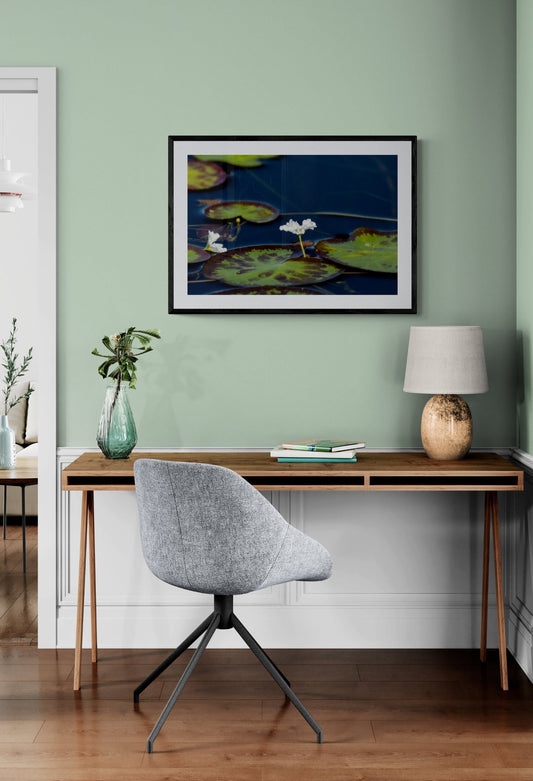 Modern home office with green wall, artwork, desk, and chair. White Water Lily, Original Photograph by Kim A. Bailey