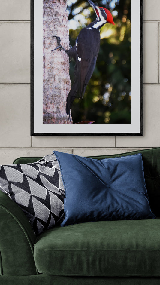Framed picture of a woodpecker on a wall above a green sofa with decorative pillows.