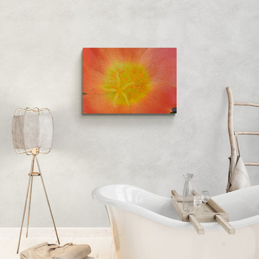 Minimalist Photography Prints for a Contemporary Look "Yellow Stamen"