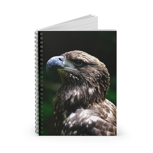 Young American Bald Eagle Spiral Notebook - Ruled Line Photo By Kim A. Bailey