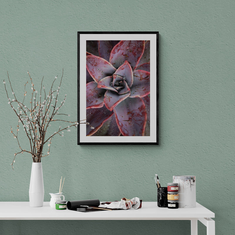 Red Succulent – Minimalist Botanical Wall Art