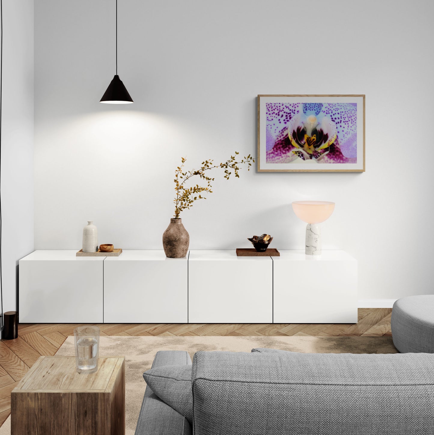 Phalaenopsis Orchid image 4