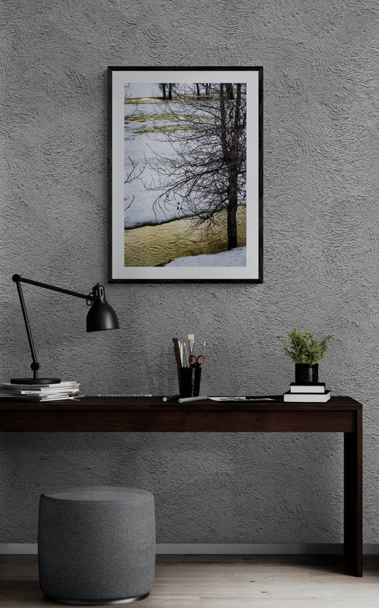 Snowy Tree with Yellow River