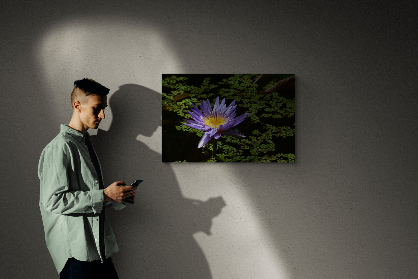 Blue Aster Water Lily with Green Leaves image 5