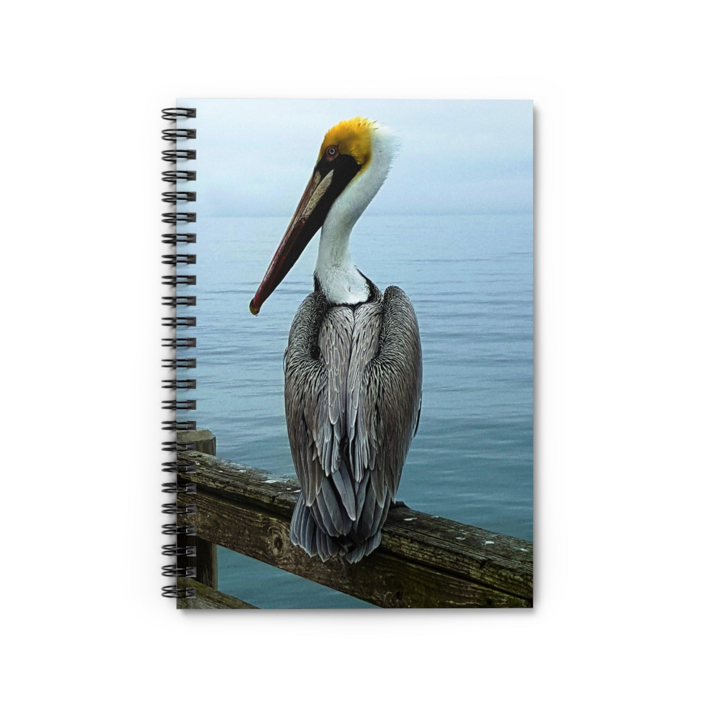 A spiral notebook with a photograph of a pelican on the cover, perched near a body of water.