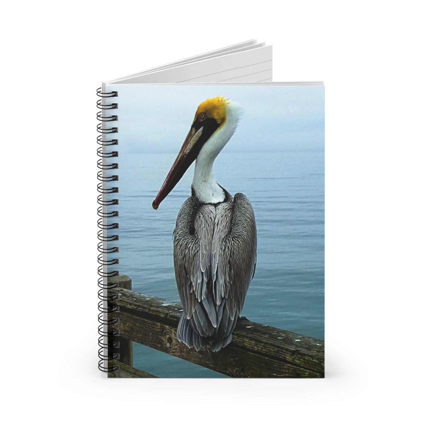spiral notebook with a photograph of a pelican on the cover by Kim A. Bailey