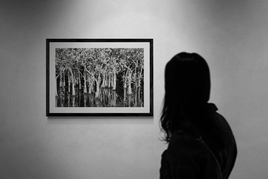 Person viewing a black and white forest photo in a frame on a wall.