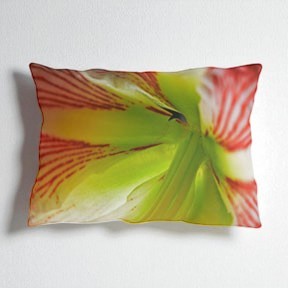 Decorative Outdoor Pillow Amaryllis Flower UV ray, water, & mildew resistant