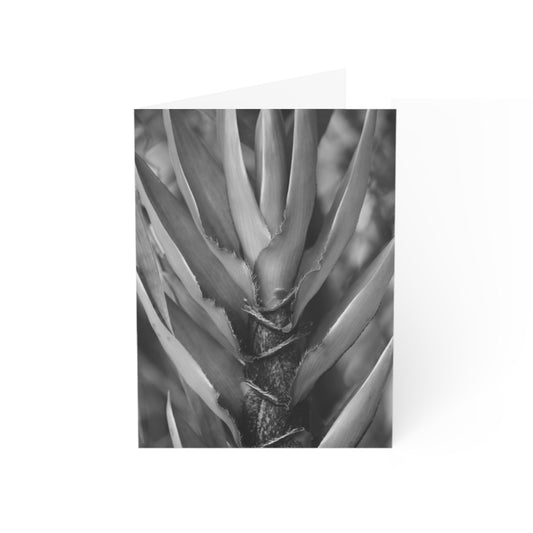 Note Cards "B/W Bamboo" by Kim A. Bailey (1, 10, 30, and 50 pcs.)