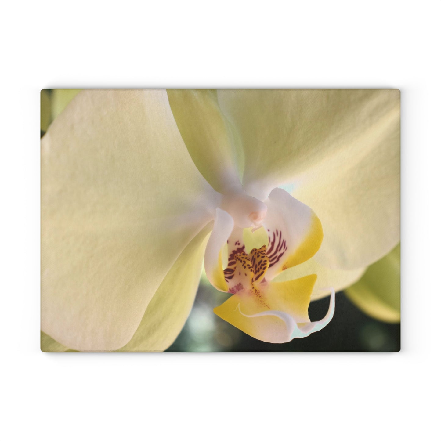 Yellow Orchid Glass Cutting Board - Floral Kitchen Decor