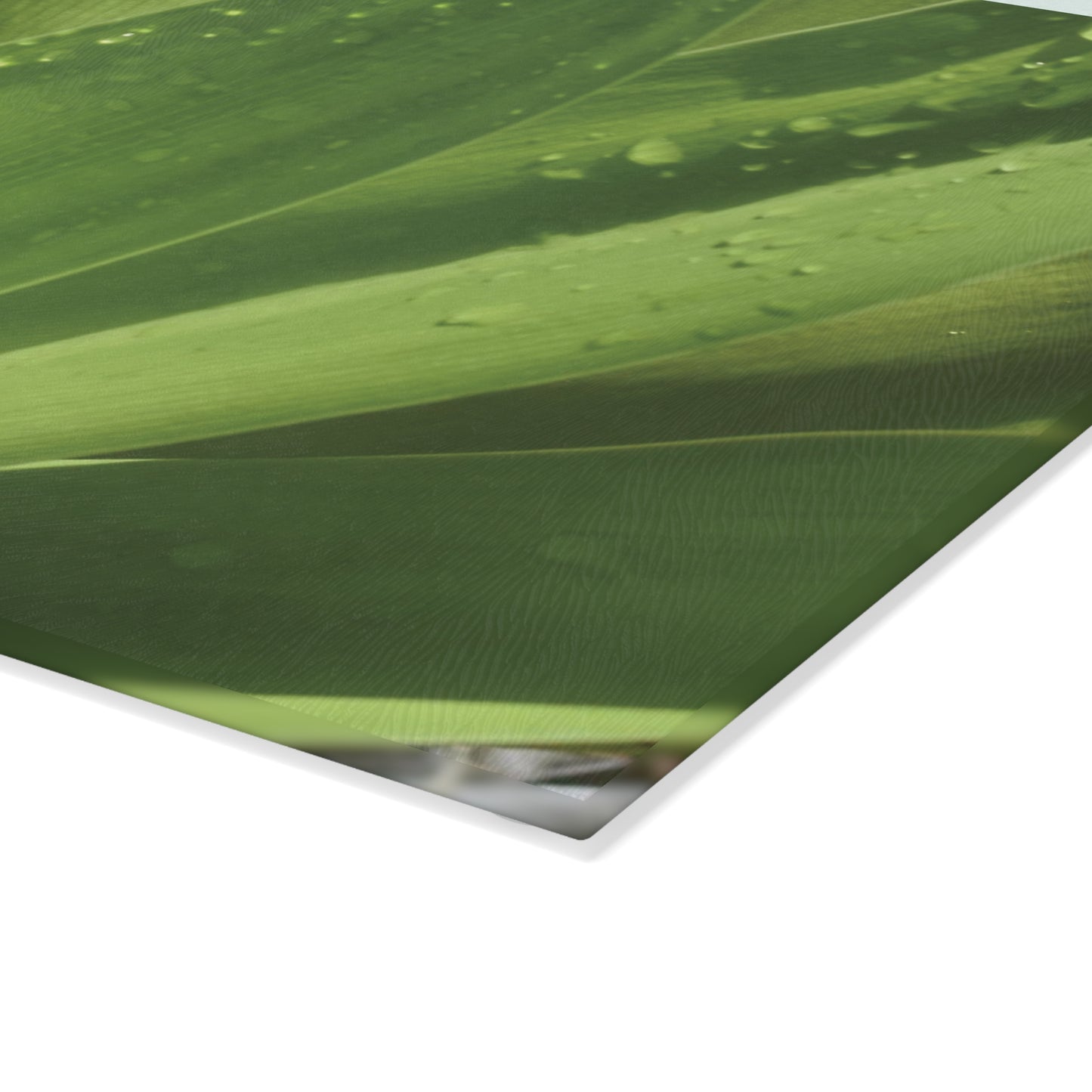Green Leaf Pattern Glass Cutting Board - Green Kitchen Decor