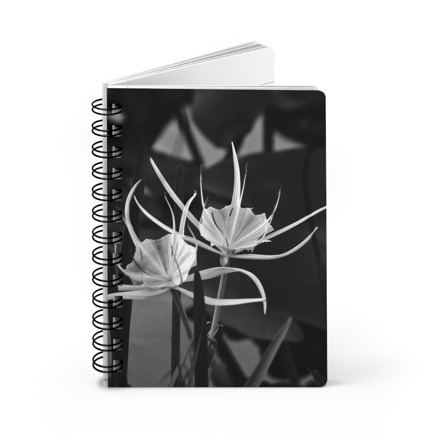 Classic Black & White Spiral Journal "Alligator Lily" by Kim A. Bailey